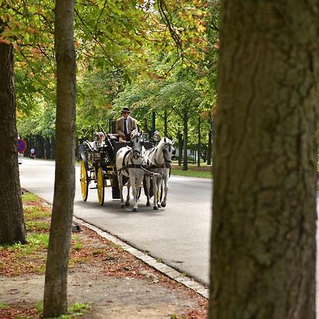 Herzlich Willkommen - Küss die Hand Viena Exterior foto